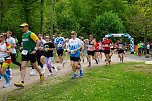 Impressionen vom 12. Harztorlauf im Landkreis Nordhausen. (Foto: ssc)
