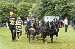 Die traditionelle W&uuml;lfinger&ouml;der Ponyschau kehrt im Juni zur&uuml;ck (Foto: PRFZV W&uuml;lfingerode)