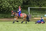 Die traditionelle W&uuml;lfinger&ouml;der Ponyschau kehrt im Juni zur&uuml;ck (Foto: PRFZV W&uuml;lfingerode)