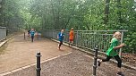 Im Gehege fand heute wieder der Kreiscrosslauf statt (Foto: agl)