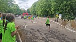 Im Gehege fand heute wieder der Kreiscrosslauf statt (Foto: agl)