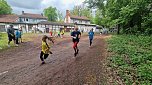 Im Gehege fand heute wieder der Kreiscrosslauf statt (Foto: agl)