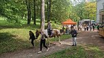 Parkfest und Parknick zum Muttertag im Park Hohenrode in Nordhausen (Foto: agl) Parkfest und Parknick zum Muttertag im Park Hohenrode in Nordhausen (Foto: agl)