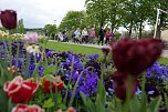 Über Tausend Gäste waren bei der Dankeschön-Veranstaltung auf dem Gelände der Landesgartenschau in Leinefelde-Worbis. (Foto: René Weißbach) Über Tausend Gäste waren bei der Dankeschön-Veranstaltung auf dem Gelände der Landesgartenschau in Leinefelde-Worbis. (Foto: René Weißbach)