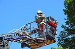 Ein Mauersegler war in Heiligenstadt in Gefahr geraten.  (Foto: Niklas-Finn Beck)