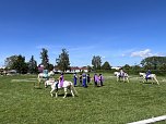 Bereits zum dritten Mal in Folge lud der RFV Großwechsungen zum KinderPferdeErlebnistag ein (Foto: M. Schneevoigt) Bereits zum dritten Mal in Folge lud der RFV Großwechsungen zum KinderPferdeErlebnistag ein (Foto: M. Schneevoigt)