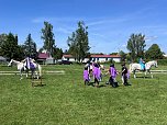 Bereits zum dritten Mal in Folge lud der RFV Großwechsungen zum KinderPferdeErlebnistag ein (Foto: M. Schneevoigt) Bereits zum dritten Mal in Folge lud der RFV Großwechsungen zum KinderPferdeErlebnistag ein (Foto: M. Schneevoigt)