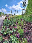 Vorbereitungen f&uuml;r den Sommerflor auf der Landesgartenschau (Foto: Stadt Leinefelde-Worbis)