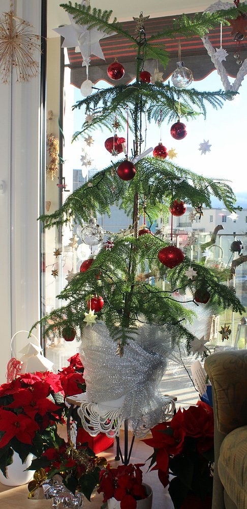 Bild: Der &ouml;kologischen Weihnachtsbaum