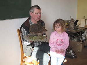 Bienchen unterwegs