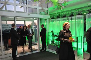 Fr&uuml;hlingsball 2011