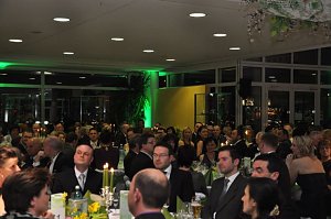 Fr&uuml;hlingsball 2011