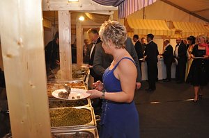 Fr&uuml;hlingsball 2011