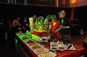Fr&uuml;hlingsball 2011
