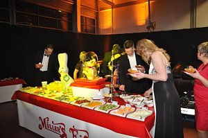Fr&uuml;hlingsball 2011