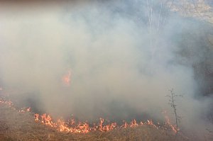 Flächenbrand oberhalb von Niedersachswerfen