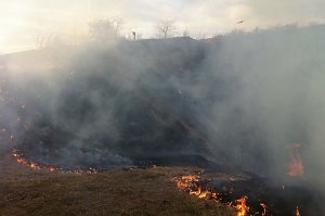 Flächenbrand oberhalb von Niedersachswerfen