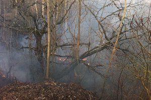 Flächenbrand oberhalb von Niedersachswerfen