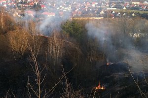 Flächenbrand oberhalb von Niedersachswerfen