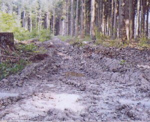 Pro Kyffh&auml;userwald