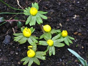 Fr&uuml;hling angekommen