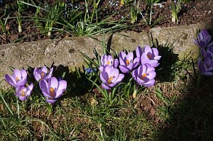 Fr&uuml;hling angekommen