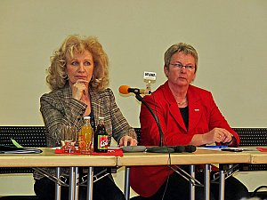 Regionalkonferenz Die Linke