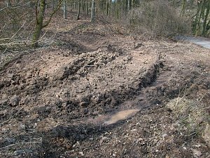 Waldgang am Possen