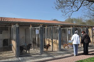 Fr&uuml;hlingsfest im Tierheim Nordhausen
