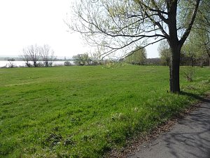 Rund um den See