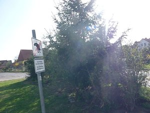 Rund um den See