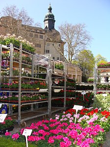 Ostermarkt Sondershausen