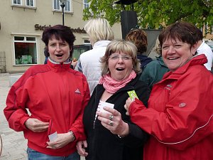 Fr&uuml;hjahrsputz Bad Frankenhausen