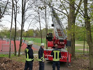 Feuerwehr im Borntal