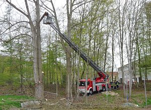 Feuerwehr im Borntal