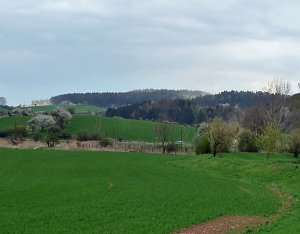 Neues aus Rottleben