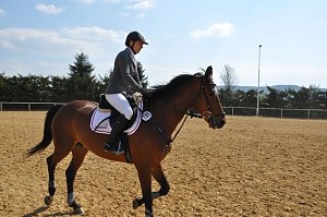 Reitturnier in Wollersleben