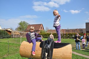 Reitturnier in Wollersleben