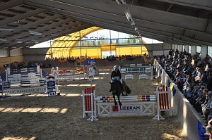 Reitturnier in Wollersleben