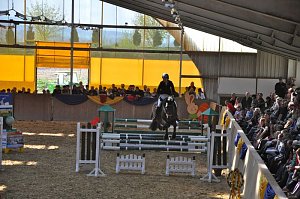 Reitturnier in Wollersleben