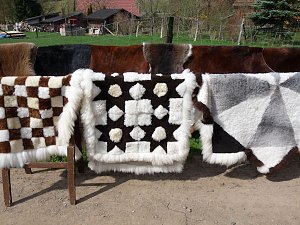 Auftrieb auf der Ziegenalm