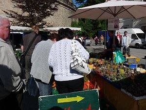 Start in den Mai