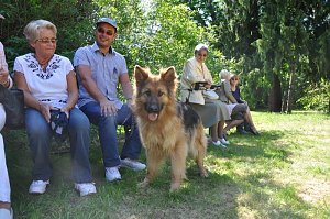 Parkfest im Park Hohenrode