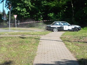 Ab durch's Gehege