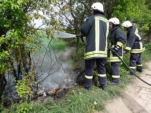 Baumpflege mit Feuer?