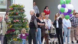 Fliederkrone gesetzt