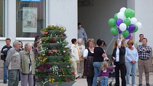 Fliederkrone gesetzt