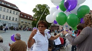 Fliederkrone gesetzt