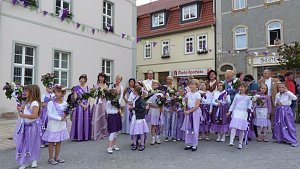 Fliederkrone gesetzt