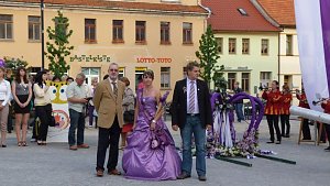 Fliederkrone gesetzt